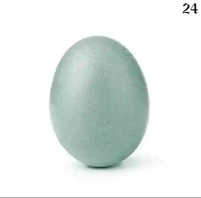 inscription 01f0ffd256bd19c128785b5be0970c774df633c4ba1b42604be132e1b96e74e9i0