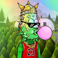 inscription 0409afd93def2fda245ae09692be4fe1584a62e7f2374f87f9b88a840bea5f45i0