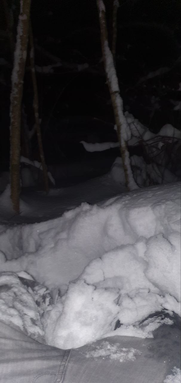 inscription 04d021c7d70d7de1360ed54515b4d997dd78907e5d638a8166e433b6cd2a10c0i0