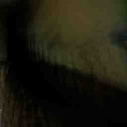 inscription 054ccdea1d815d915de580274b02d9f60b7d613b54ff8ab6e9b0af23bad7d408i0