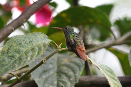 inscription 056ee205d8beeed49b8abf7070dd69d85460424fd413a372a399a6af99ed85e7i0