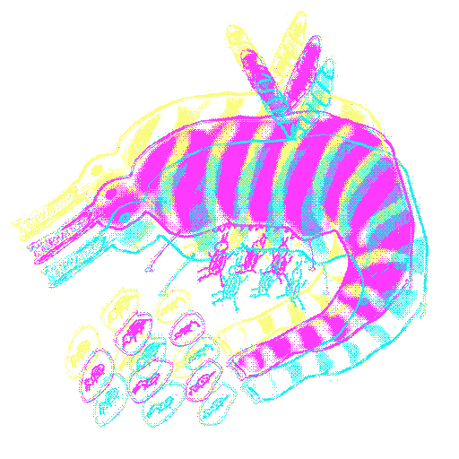 inscription 0f3aaa75911bcb4c30b0c8a4fa5a91a1310fce938a451d39f59ea13d6dbf3e64i0