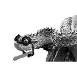 inscription 1098ab65875a6d76805598cfd6d34a1ce3d58c818ca120d753cf204751598f23i0