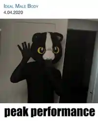 inscription 135b9e61a2fc6ee3dca72a5beb24d2213d62a2b8e4c0db9f3f405df3e5fea279i0