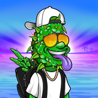 inscription 13bc8866d4b09ec24d5d3c0dc11fd92812a53021e179e0c5d8a869e4855f420ei0