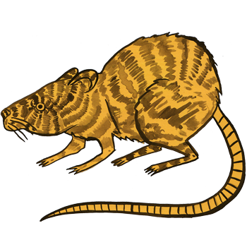 inscription 13fa95cbb44cdbc50c0c764fe6f80a0cca802cd502b0a620b896b405c2c2a2e1i0