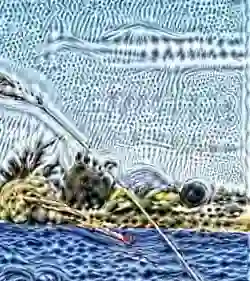 inscription 1776847b8d09f0790a8c3b861d03d965036d65b9e21d0d29c70bd3c6c3b95d5di0