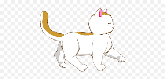 inscription 1a5277506a7de9a54bf41b3f33a9f7811ae10b4ab7cc3757f9dbd59fc8a11e52i0