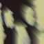 inscription 1a97d5cc5178abb028c3a093f61e3dc5fdae8b1415f11c097decf6e84c53d870i0