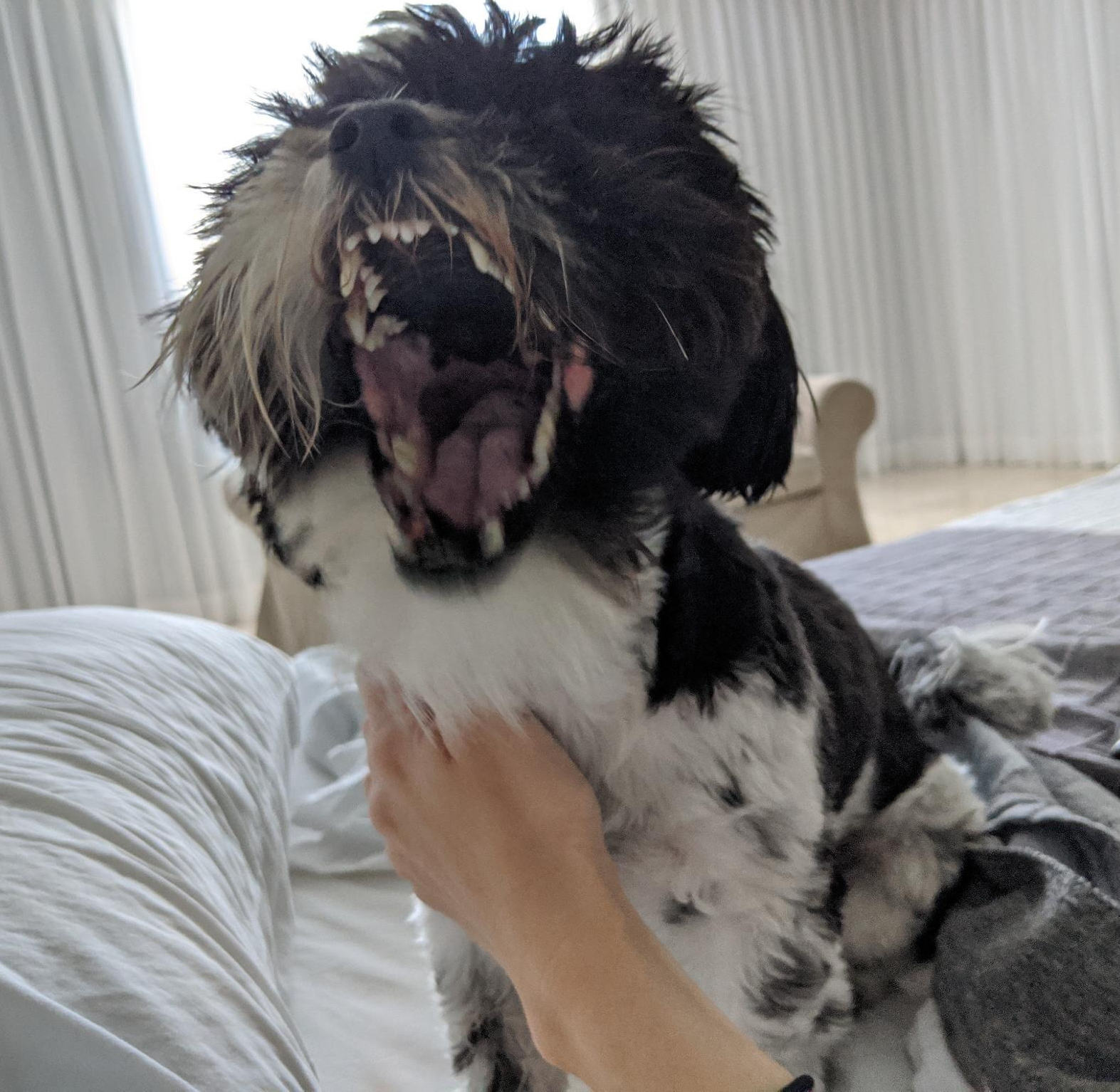 inscription 1bef6d8ff56769a304acaee5442e4e8d32f3cb2c1750e5287be7b51f2fd6a553i0