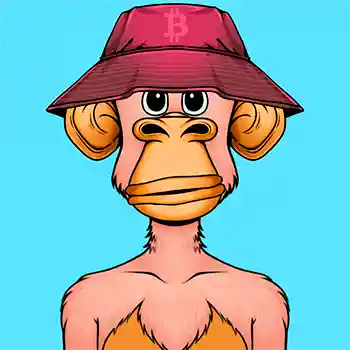 inscription 1cc9ad5950e8706bd657a6bc67b3f6f64fd186d0d63ac31f66d2026020295a0bi0