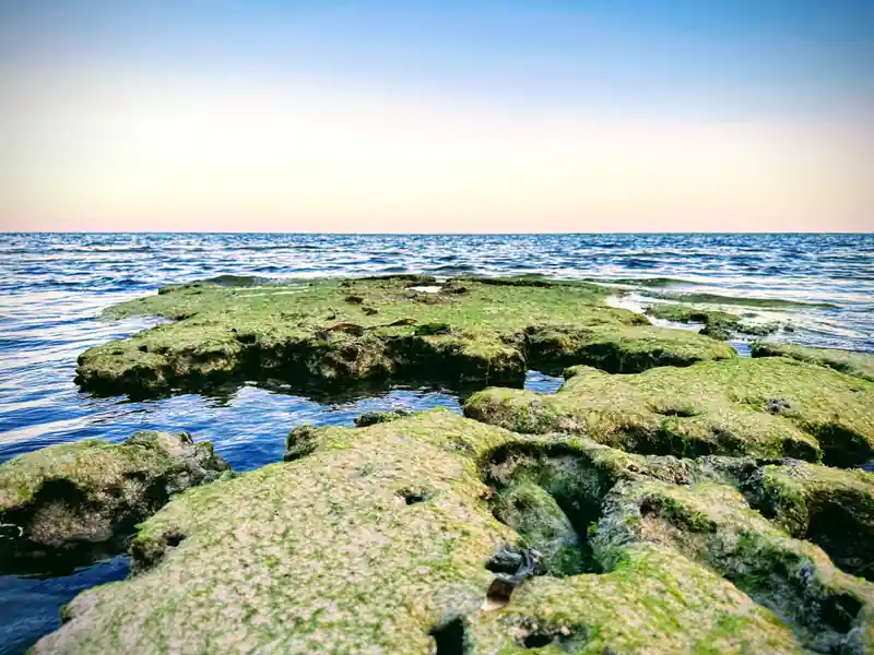 inscription 1d0e537797c8f542f590de3c179ef8b5e2cbe8732afdcb55dbc7c28a7a024187i0