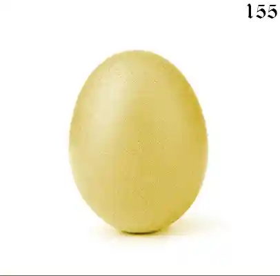 inscription 1f7f859c0db214b833c9ab03ea9d31509dd04ded42b845f501e7fde52eea7ccfi0