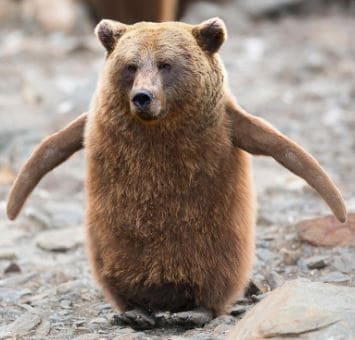 inscription 1fde430ff9095873a945f3cda0f0f6d30fb4d694b81f4b9acb776f3df3bb813ei0