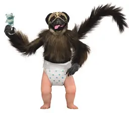 inscription 206fe2ab4a5b9d2034f34e67bda9de7b917428985ede91778f09c95c7937f19ei0