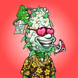 inscription 20a2a9cb82845a4f8009dd41390acbf8e532503c5ca64c2b37b467da7ec3e717i0