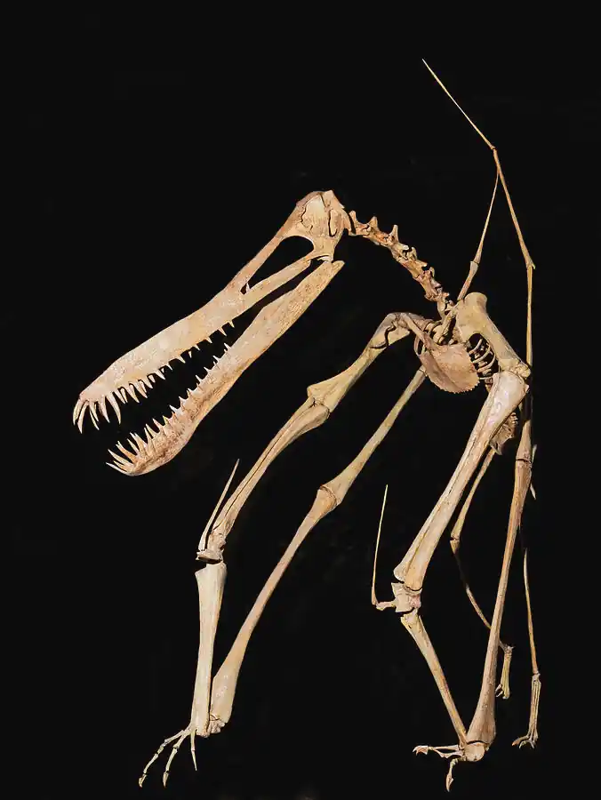 inscription 2208edf5a69b15e11c906e8b030ace0bcbd7a984c7c4df51a7ce6189aa31778fi0