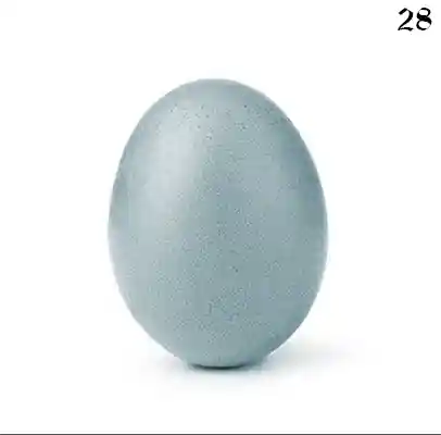 inscription 23107ee422d8fb443b6bd48c7939eb2e85ea9374a351a536ee4bc4502efe60d6i0