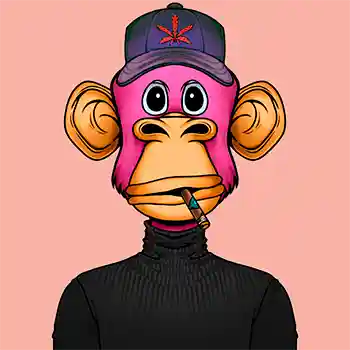 inscription 269437d2e6a618473e02ebc9599cbe5c12d43f466f002612c46e4c6067e65314i0