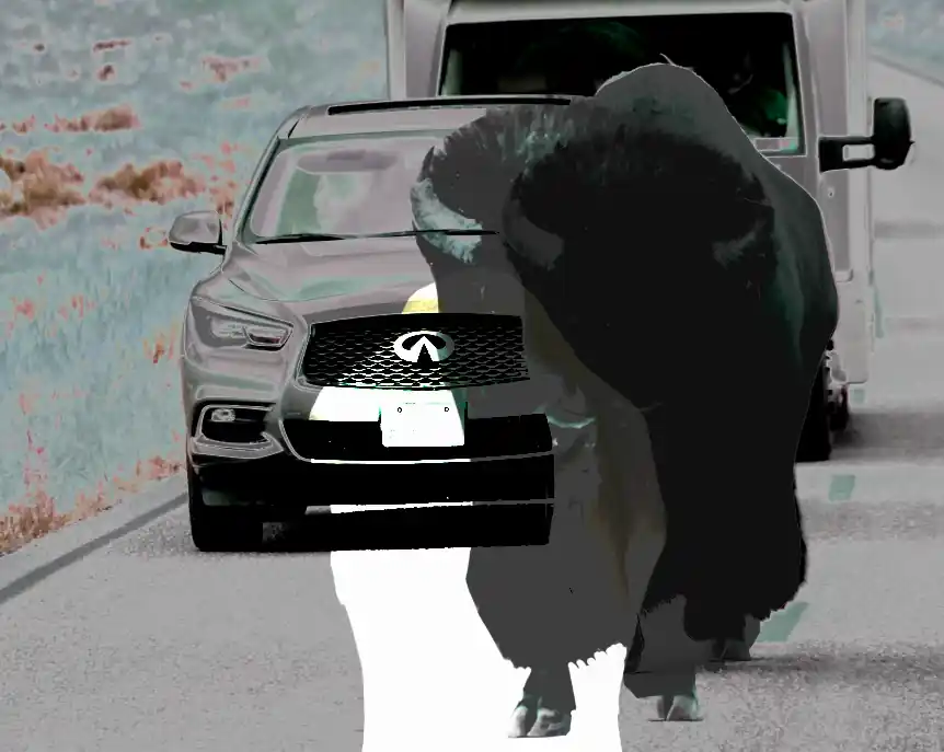 inscription 2ef9c21ebd6a05b0d1bb095119fb8449eed5d89257f904536791e1680b5d02ffi0