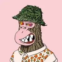 inscription 2fbfabb1ca0afc226bb0bbe4840b4e98ed12bcdcdf24afb0e776cf1a7989562ci0