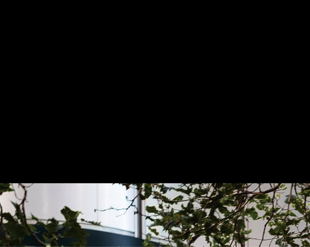 inscription 304ff5d6b86f68934fb97e29006949f5072a9f848dd6fc336d0d302ad164ed37i0