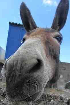 inscription 30bea28da07a6d2d48f713d0357b2dda97c2a2af4deca40478c0358118de984bi0