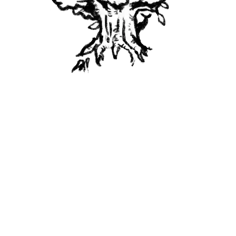 inscription 3114b8dc4b4ddfa75b2790a78fcb54ebee023e0a926c38bfb4c3272a32210b36i2