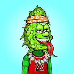 inscription 3499608880a8afde2a68cf4e2df2ed90daea07b1bb3840cb79596d8fc34bb684i0