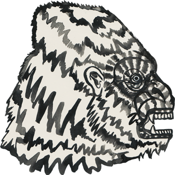 inscription 35da4976ff74b8c959dbb77eb22911da461e4fd959809df2cf5c7ecc4f81311ci0