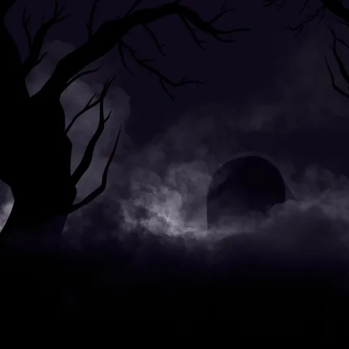 inscription 3798de9b882a8dff4a03cc5d11bb78f4321a140538237a16ecc2f4563bc4fadbi0