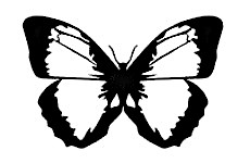 inscription 37d1a78420843c45a15ccbc6a3b2da8b23e19dc5cce5d4683bdebab43f8711f9i0