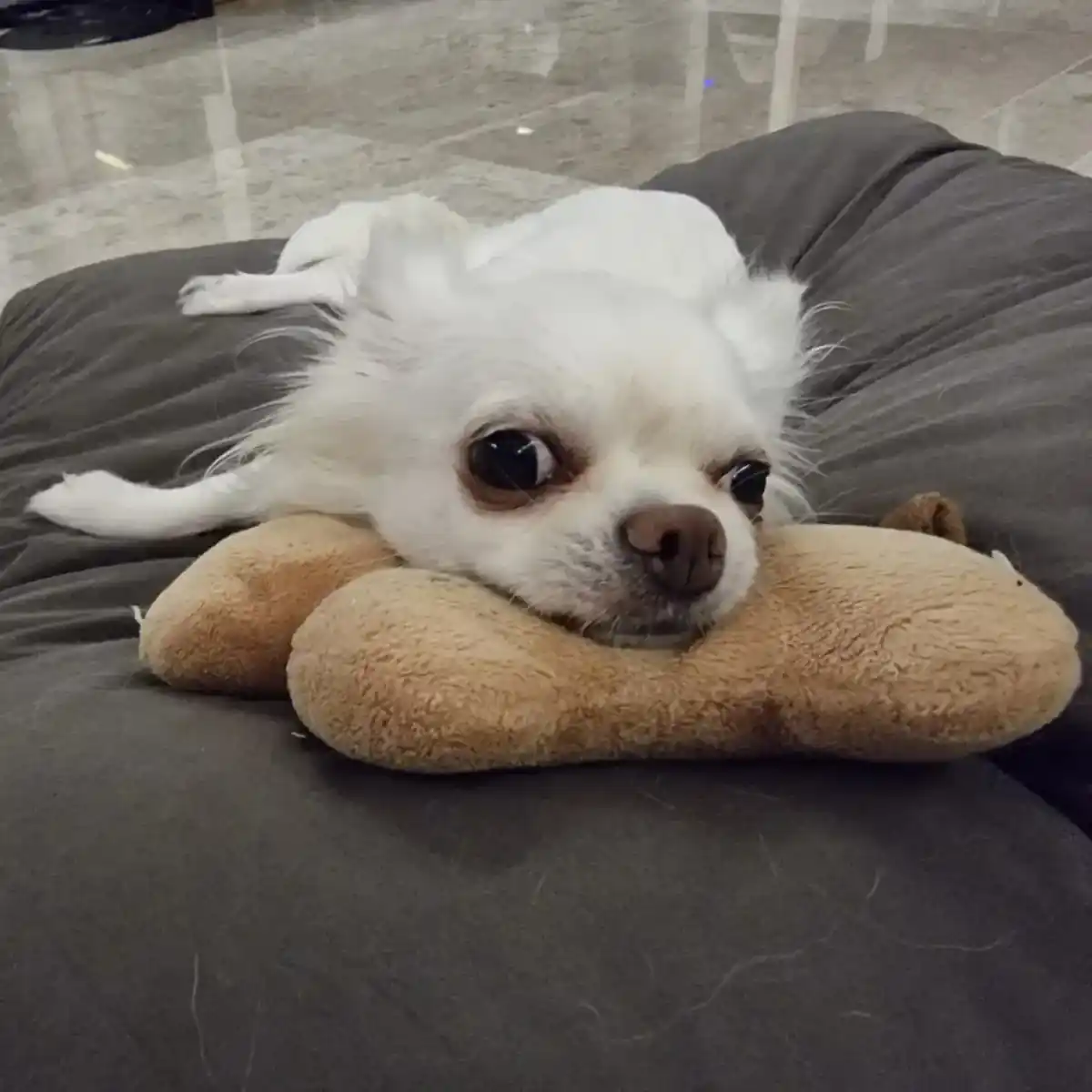 inscription 3917c0f6cdba8ca23f5ac1e22fb5c8556a1a6805a2f36ec057e44630c89a8fe2i0