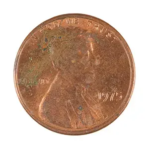 inscription 395ee31d7b5f49294ecbfa5c997b2f4a647967b7e2cfca2c24c832aaf074fe31i1