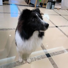 inscription 3dad999ca71a5cc2ee28669034a7f473960e55a54a624b31d7b773b39e7f2877i0