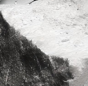 inscription 3e2e24b9b2fc33322f967321a37401efa1b18f07ca5620163a5383fcc2d83ebci1