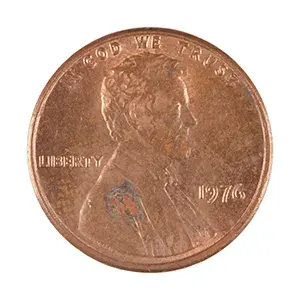 inscription 3e873c509f87bc3e910951fb8eb69595223a30f4025f52439f64090a01e4f8f3i0