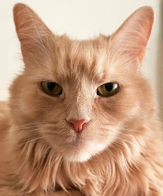 inscription 42b0bd49917d3ba3f4c79d5ad676179d9049b5d5634f68d822a8d9f519035bb1i0