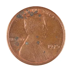 inscription 46482986ea204a453b0b0da62db9ab64f9d01d70d642c9b537a4aea3211f9de7i1