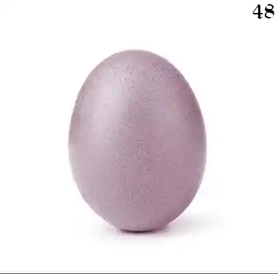 inscription 4679c5a3cee8594dcd177ac5c166c51b6ea75983cbd35e57f63ef0a13ffafb2ei0