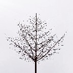 inscription 4ad1fc77626df8b844707720736c87357cb91531b383620f9db2bc3272f72f69i0