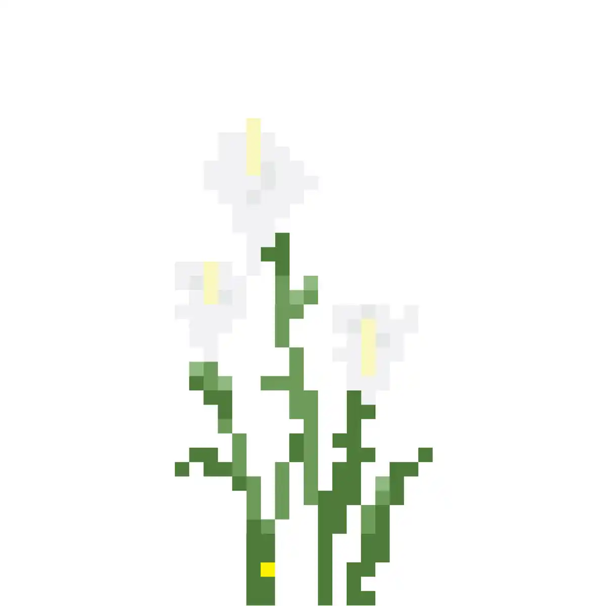 inscription 4c7c8d47d3ed20538949dece8c49bbd74e2a7d15a47fed0801ce5af418d69a42i0