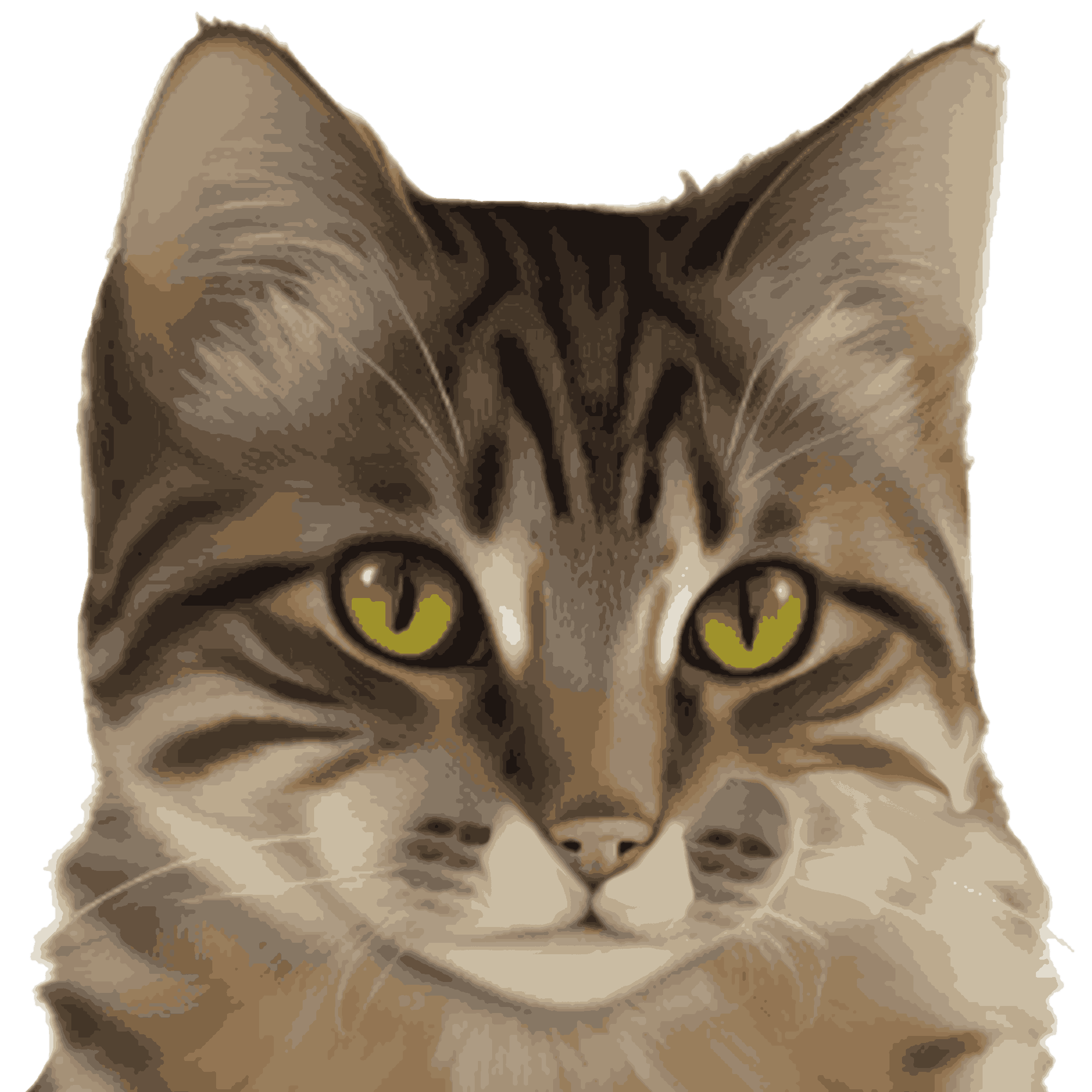 inscription 4c87252db8c85522d21d8315d756b6da7e57c770ca91b18b67c98831e7d0a95ci0