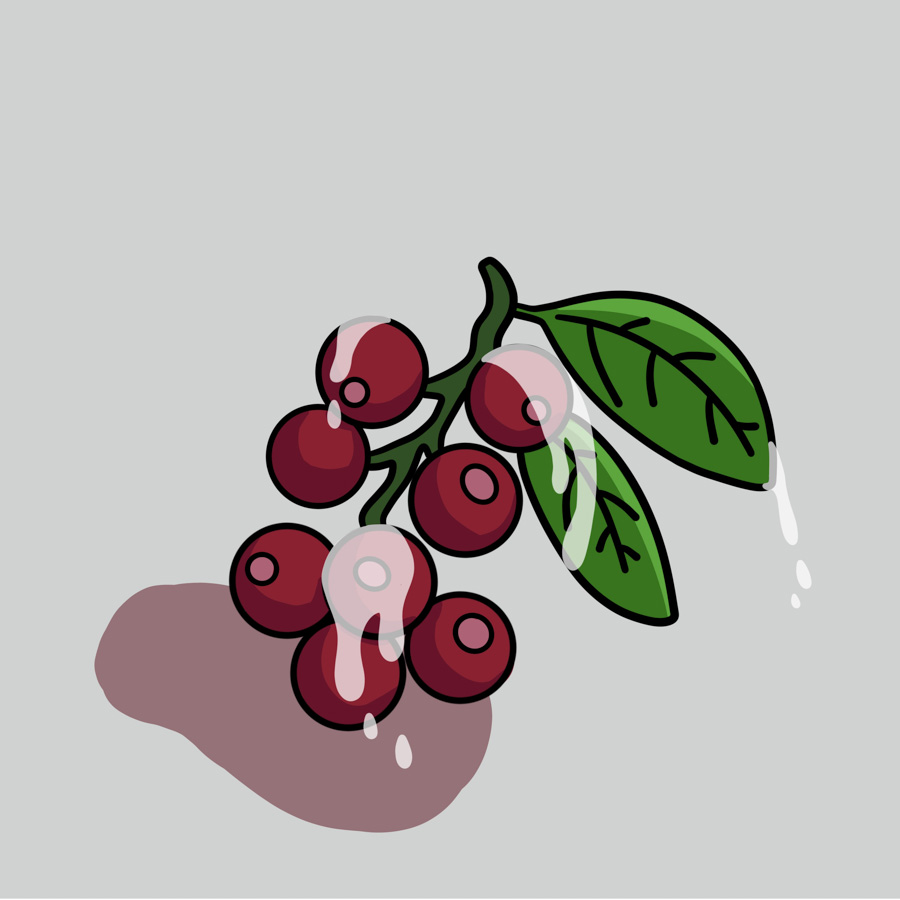 inscription 4fb8a0e02b25358642c88343349f1bc4be381433d43583624f9afa7279739e6ci0