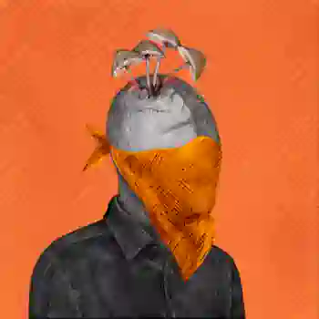 inscription 50e41f147a7160191d9624d1044f744e23d86cdac2bea3a9c9a6c7a37b797117i0