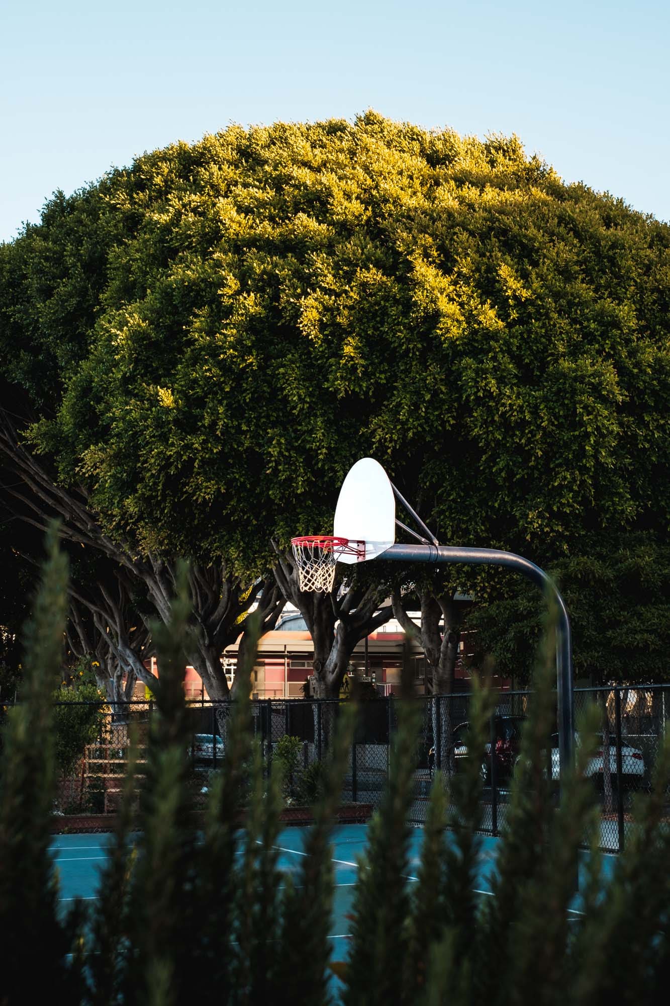 inscription 52efbbfcc89b1e44fdffcc319f5c8dc04a6a24c4a9f5cafe1dbc5332367045b8i0