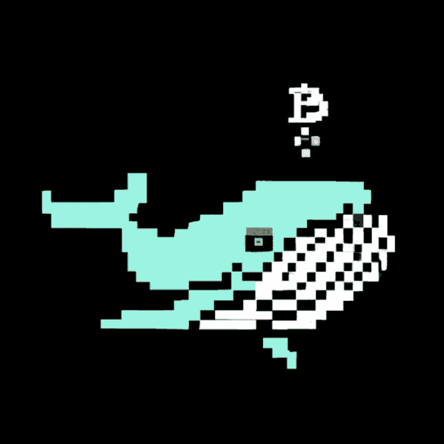 inscription 548969cce44c579abd831d25e2ff86a0b51480a0b2977a0ae8dd815f2f83aaefi0