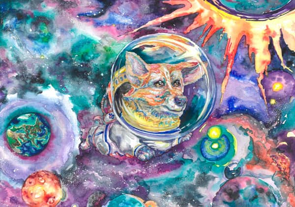 inscription 5579a47e60ab84831f52ad1b106d917ba8c9cee2efe0aa5b52c8803e53ce2d5bi0