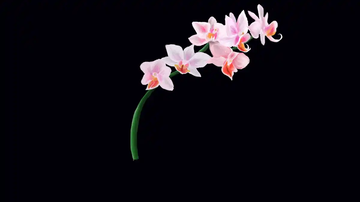 inscription 5798256716e078295640e47a03c6a36a674e1f3e6a8a19376dc13d55c031f56ei0