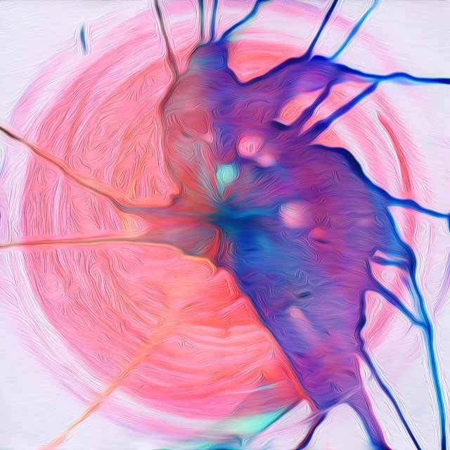 inscription 5c18082b9b0e37ca641ed7d1e71d09c7f6292a511a5ce4f30437853376ff6f50i0